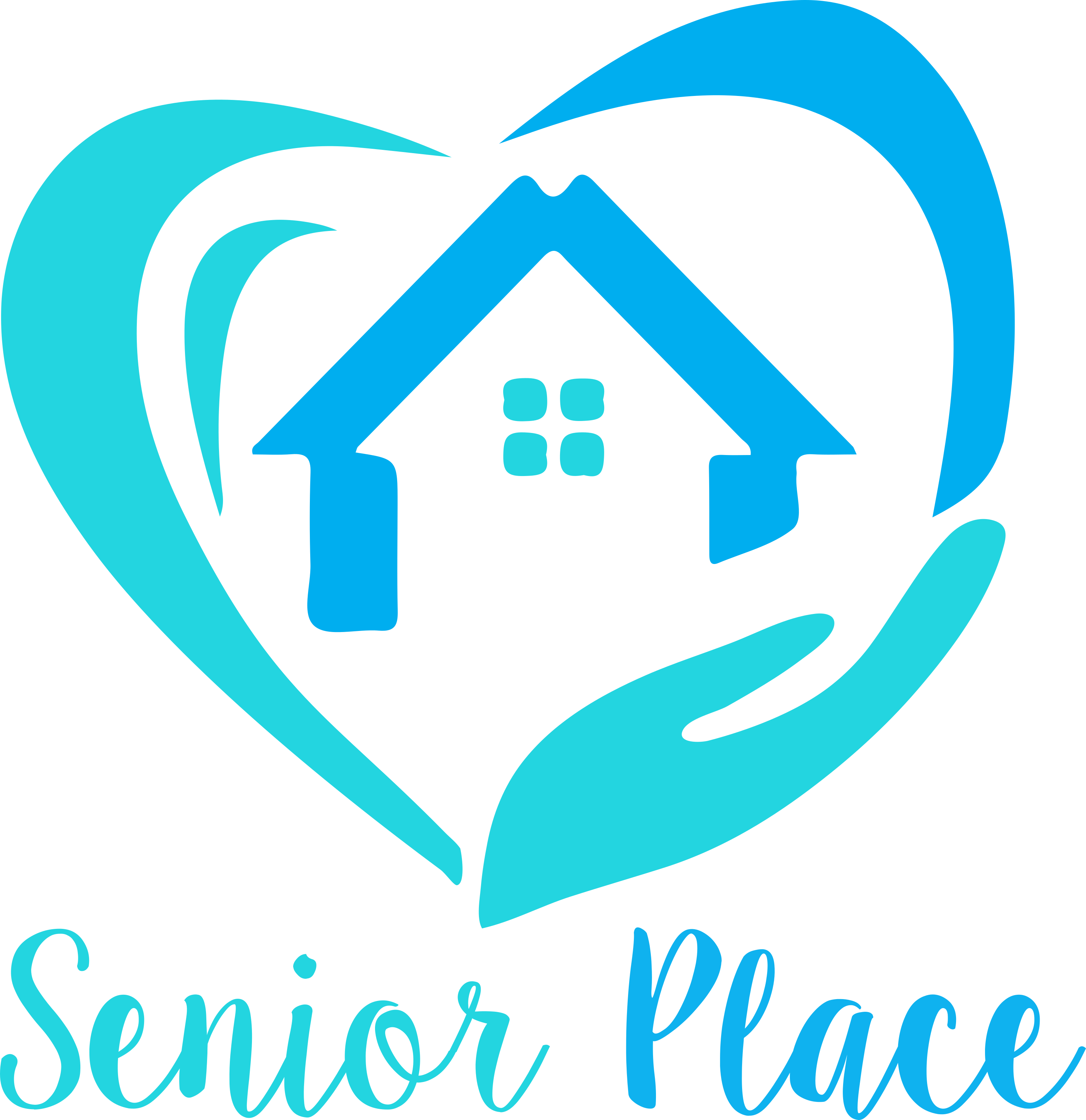 Senior Place, LLC
